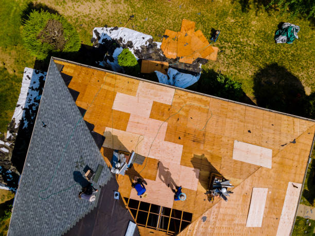 Best Local Roofing Companies  in Gholson, TX